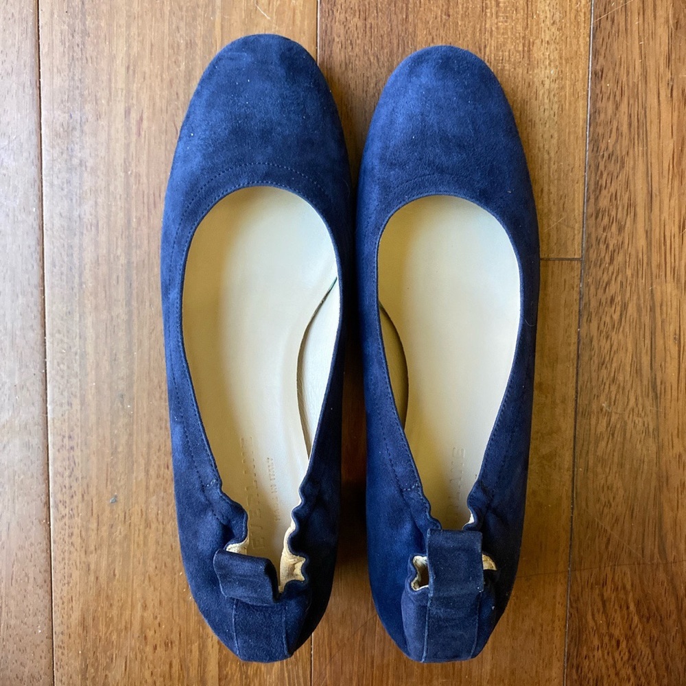 Everlane blue suede day heel